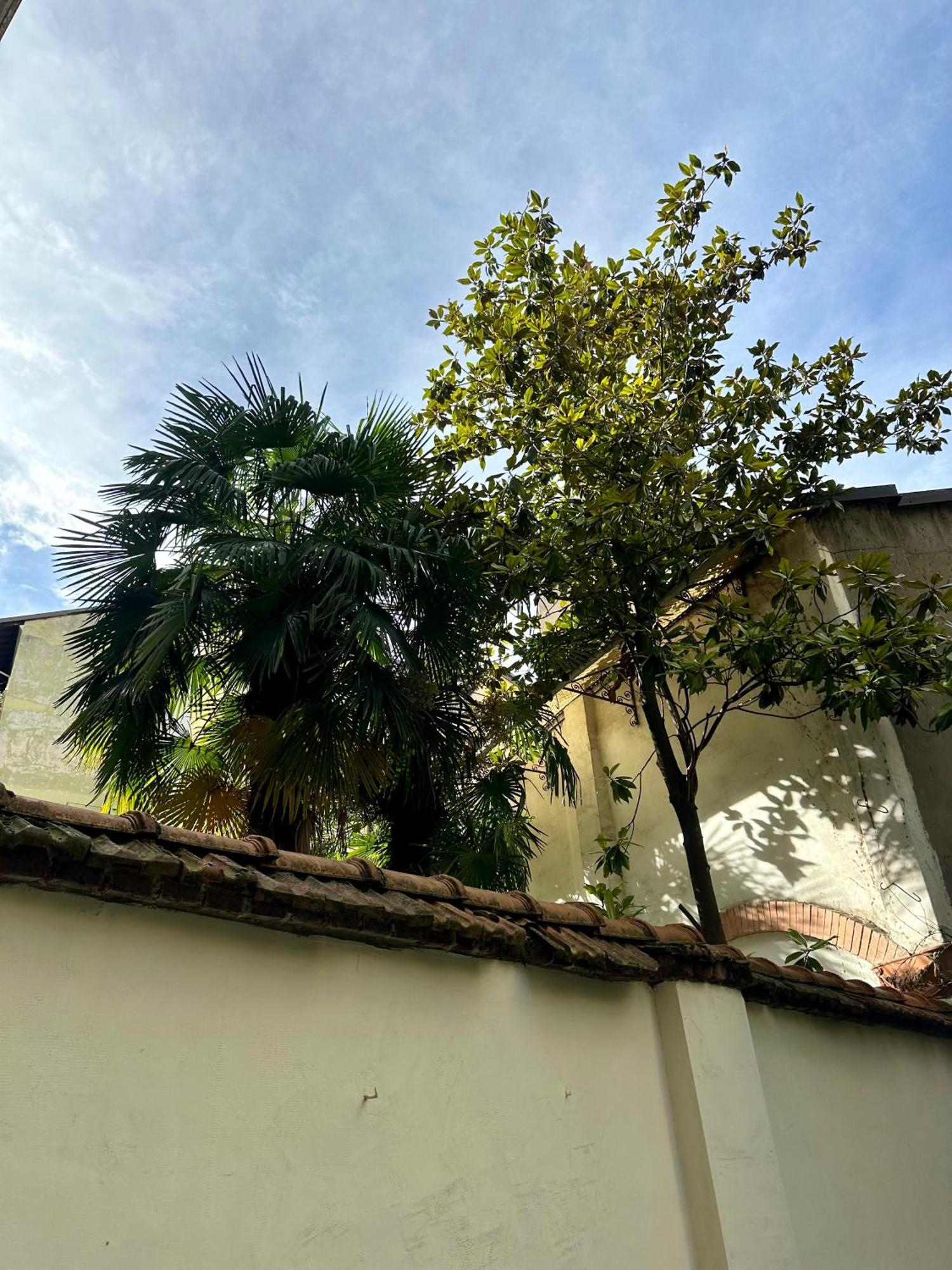 Lr Deluxe Apartments - Porta Venezia - Bilocale Con Giardino Privato Milan Extérieur photo
